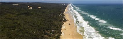 Fraser Island - QLD (PBH4 00 16221)